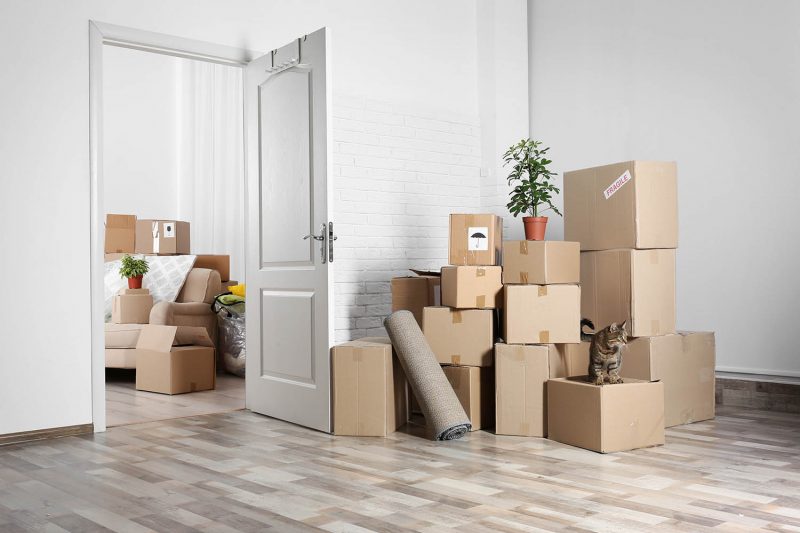 packing boxes in house - what not to store in a storage unit